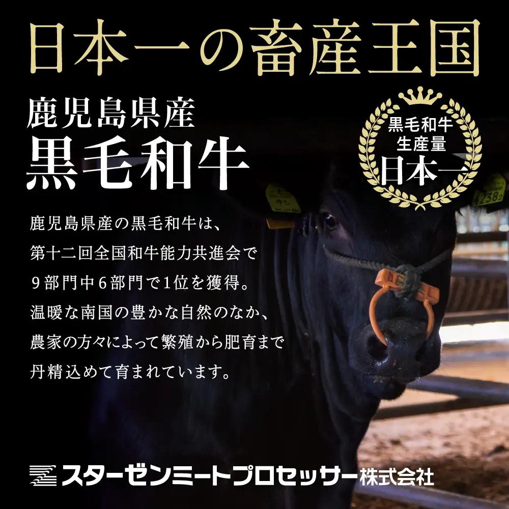 【定期便】◆人気の返礼品を3回お届け◆ 鹿児島県産 黒毛和牛 赤身ももスライス 1.2kg×3回 (合計3.6kg) 冷凍 しゃぶしゃぶ すきやき ギフト 贈答 スターゼン 南さつま市