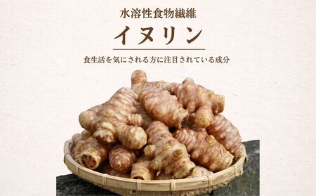 紫菊芋パウダー【150g×3袋（約3ヶ月分）】／ふるさと納税 福角兄弟農園 菊芋粉末 イヌリン豊富 食物繊維 健康習慣 無添加 血糖値対策 腸活 腸内環境 農家直送