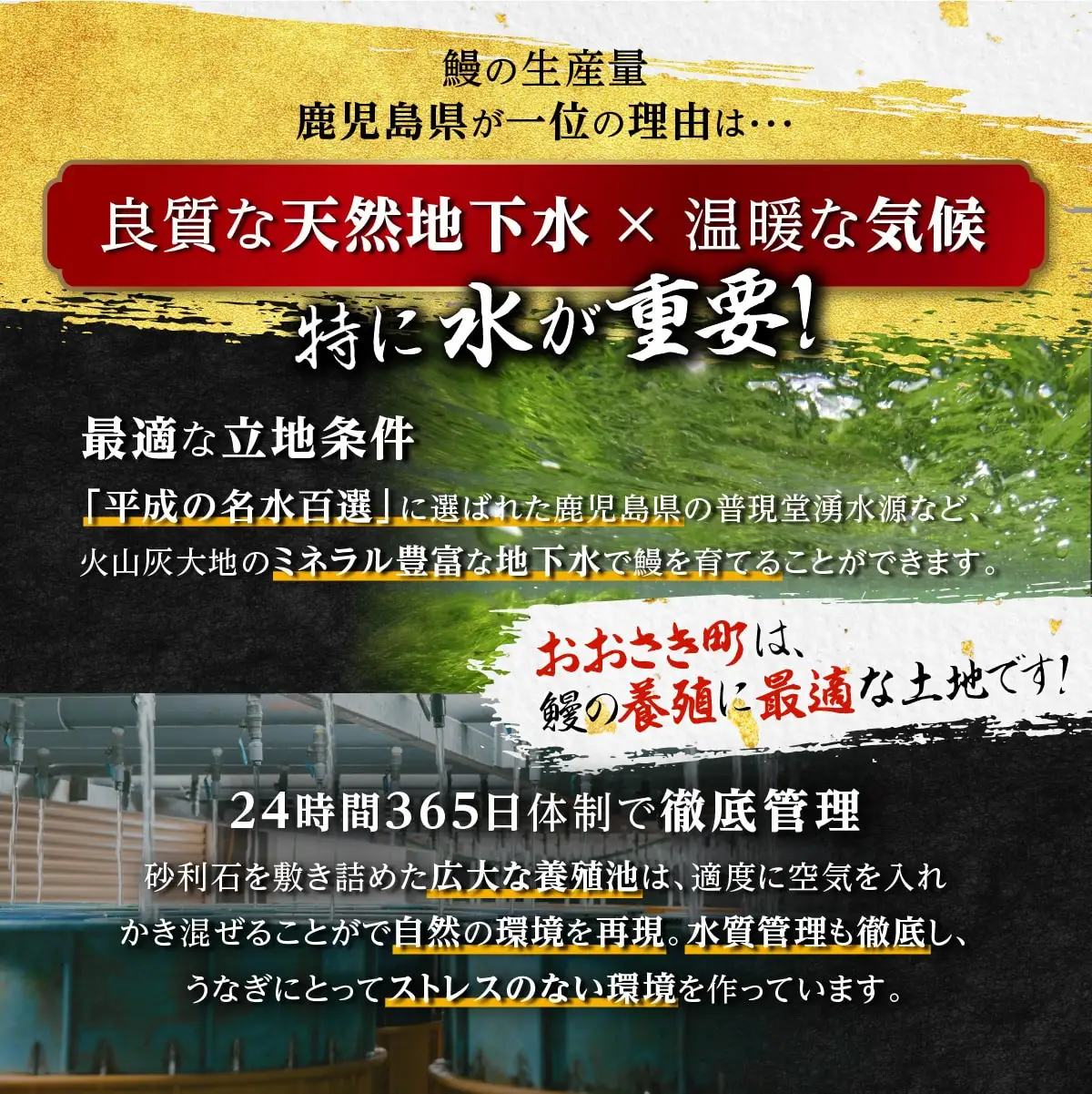 【寄附額改定】 国産うなぎ 蒲焼 3尾 360g (120g×3尾) 鹿児島県産 山椒 たれ セット 詰め合わせ おおさき町鰻加工組合 うなぎ ウナギ 鰻 うなぎの蒲焼 鹿児島 大隅半島 大崎