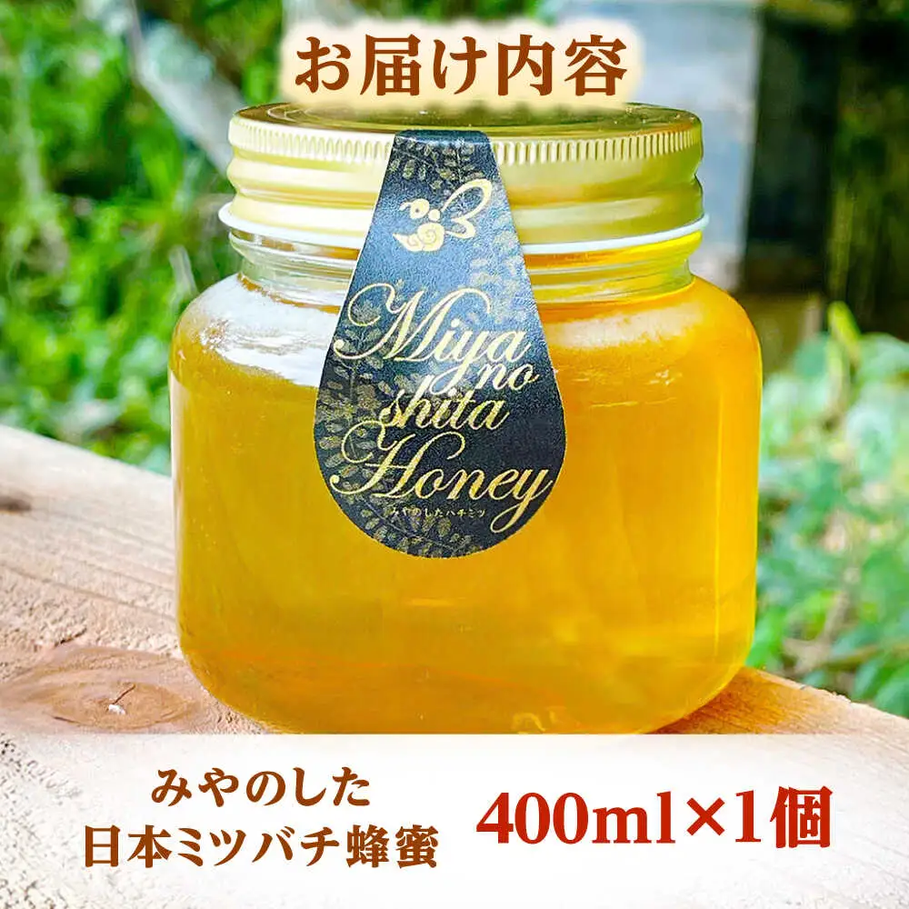 蜂蜜 天然日本ミツバチの「はちみつ」 400ml×1個 [AICL002]