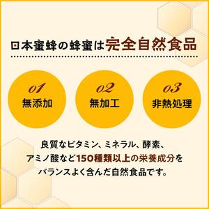 日本蜜蜂のハチミツ100％！はちみつ1.2kg  高級 自然食品 無添加 ニホンミツバチ