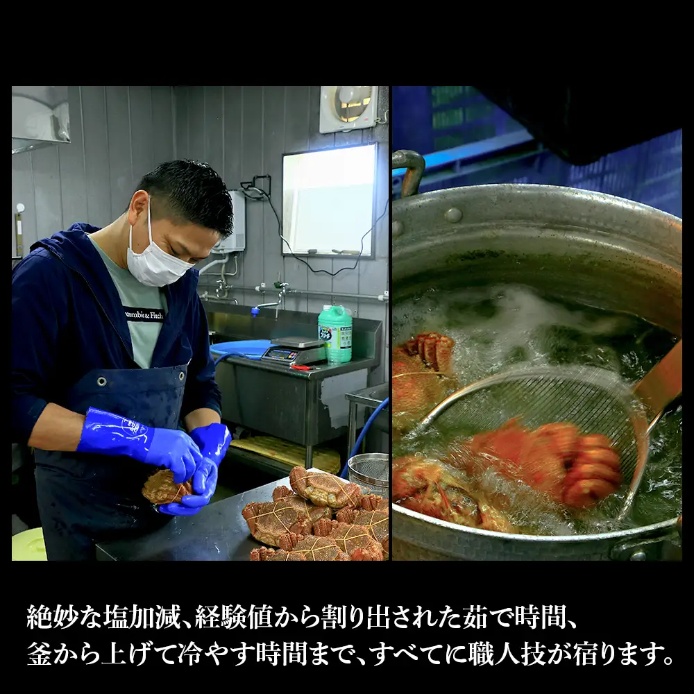 毛蟹 ボイル済み 冷凍 4尾セット 約2kg BM302