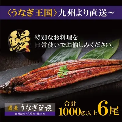 Z61-73 国産 うなぎ 蒲焼大サイズ6尾（計1000g以上）うなぎ