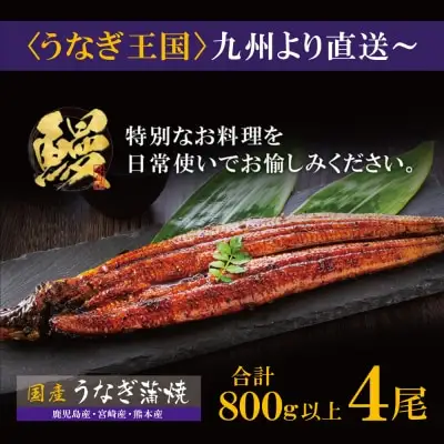 Z61-74F 【ふるなびWEEK対象】国産 うなぎ 蒲焼特大サイズ4尾（計800g以上） うなぎ