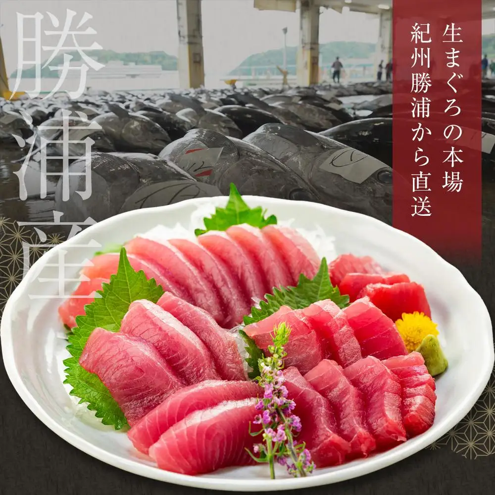 【定期便全3回】生まぐろの本場紀州勝浦から直送！　生メバチマグロ 約1.5kg（1カ月に1回お届け）（全3ヵ月）