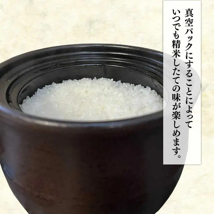 糸島のお米 食べくらべ 真空パック 計5kg（1kg×5パック）  糸島市 / 米屋納富 [ARL002] 白米 米