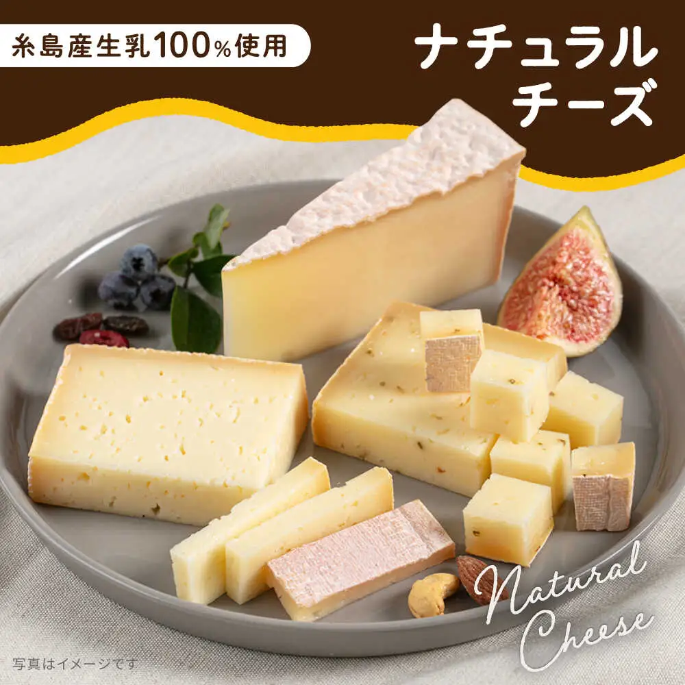 【糸島産生乳100％使用の手作りチーズ】コハク熟成 1ホール 糸島市 / 糸島ナチュラルチーズ製造所TAK-タック- [AYC011] チーズ 乳