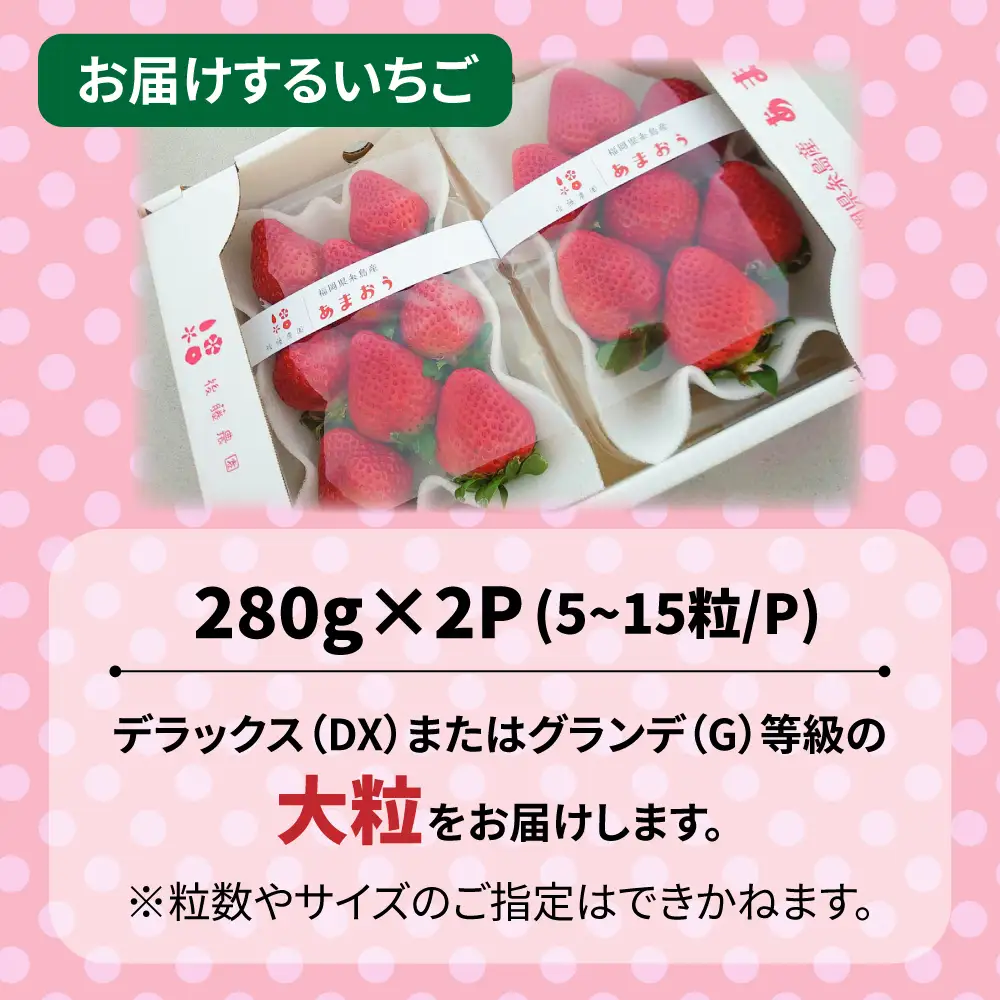 【農家直送！】【先行受付】糸島産あまおう 280g×2パック (DXまたはGサイズ)   【2026年12月以降順次発送】糸島市 / 後藤農園 [AML001] いちご 福岡