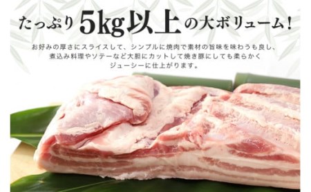 ブランド豚「ばんぶぅ」豚バラブロック1本 ばんぶぅ 豚肉 豚バラ肉 ブロック肉 しゃぶしゃぶ 焼き肉 豚バラ 真空パック しゃぶしゃぶ肉 焼肉用 ブタ肉 国産 茨城県産 ギフト プレゼント 冷蔵 高級部位 ブランド豚 42-D
