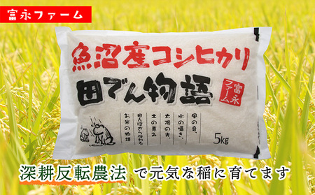 令和7年産 農家の手「田でん物語」魚沼産コシヒカリ（精米）20kg（5kg×4） お米 白米 ご飯 ブランド米 銘柄米 精米したて 新潟県産 直送 主食 炭水化物 