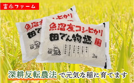 農家の手【お米定期便/全6回】魚沼産コシヒカリ（精米）4kg（2kg×2） 白米 ご飯 ブランド米 銘柄米 精米したて 新潟県産 直送 主食 炭水化物 複数回 半年 お届け 