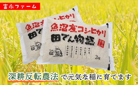 農家の手【お米定期便/全12回】魚沼産コシヒカリ（精米）4kg（2kg×2） 白米 ご飯 ブランド米 銘柄米 精米したて 新潟県産 直送 主食 炭水化物 複数回 1年 お届け 