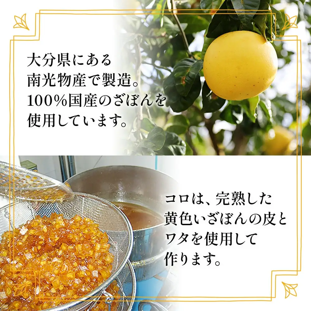 伝統銘菓 ざぼん漬セット 100g×10袋 | ざぼん 津久見市
