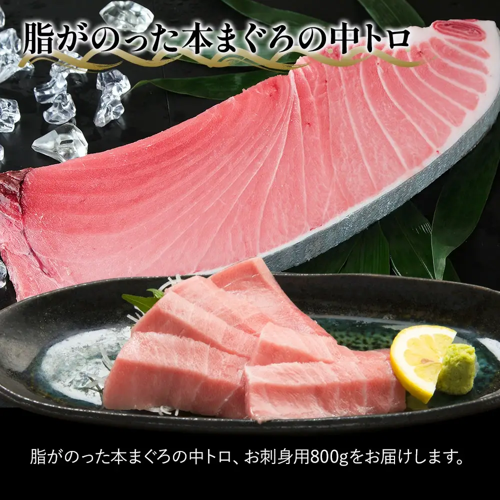 本マグロ 刺身用 中トロ 5人前 (800g) | 本マグロ 津久見市
