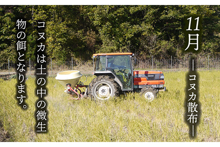 先行予約【令和8年産】玄米「廿ノ極」（4.5kg） [TCI001] 玄米