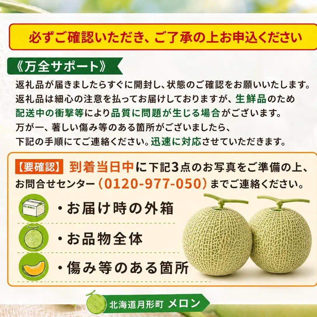 メロン 青肉 月雫 秀品 北海道産 メロン【1玉 約1.6kg】【先行予約】