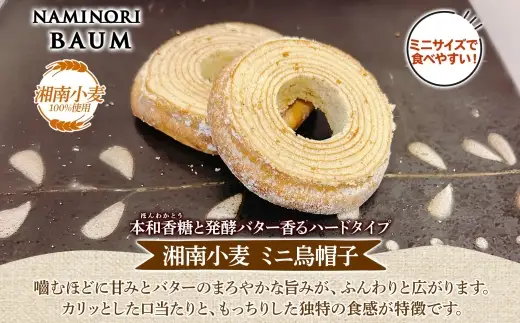 バウムクーヘン なみのりバウム ミニ 食べきり バウムクーヘン【10個】