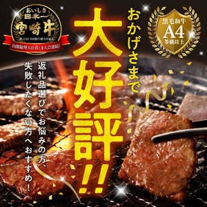 宮崎牛 カルビ焼肉500g N0140-YA5535