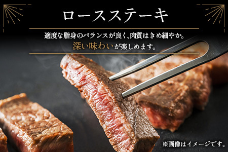 【ふるなびWEEK対象】鰻楽 国産うなぎ 2尾 計360g ＆ 宮崎牛 ロースステーキ 250g×2枚 計500g 肉質等級4等級 国産 人気 おすすめ【C129-2510-90】