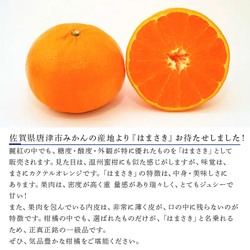 『先行予約』【令和9年1月下旬発送予定】唐津産 はまさき 3kg