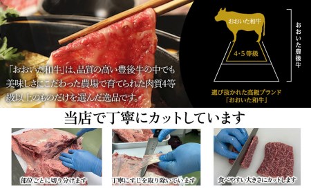 おおいた和牛 ロース すき焼き・しゃぶしゃぶ 500g | すき焼き 津久見市