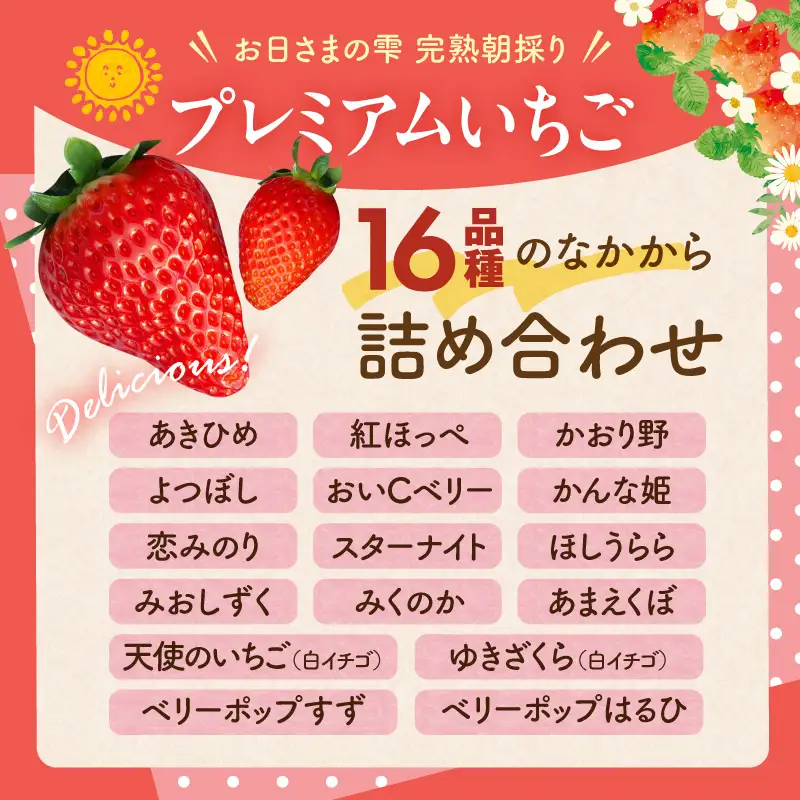 【先行予約】お日さまの雫 完熟朝穫りプレミアムいちご　２トレー AM-0002
