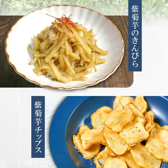 農薬化学肥料不使用の紫菊芋　5kg【菊芋 野菜 紫菊芋 芋 赤菊芋 農薬不使用 化学肥料不使用 季節限定 期間限定 数量限定 島根県 大田市】