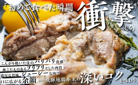 鶏肉 飛騨地鶏 むね肉 1kg(2パック) 鶏肉 [DK033]