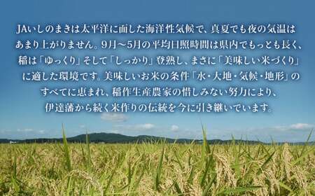 宮城県 いしのまき産 米「ササニシキ」（精米）10kg