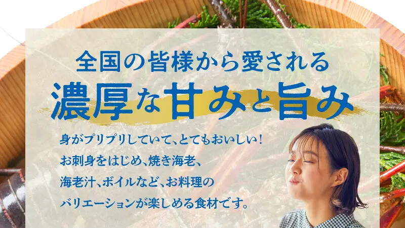 エメラルドブルーの美しい海で獲れた天然伊勢海老2㎏（4～6尾）！ W057-003u 冷凍 海鮮 エビ
