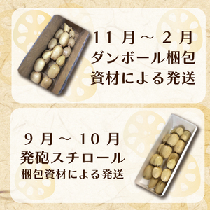 【先行予約】【2026年9月より順次発送開始】レンコン　約4kg｜茨城県 行方市 ふるさと納税 蓮根 レンコン 野菜 やさい(EG-1)