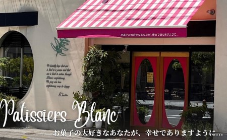 シフォン詰合せ 絹のいろどり チョコ マンゴー シフォン詰合せ【10個入】