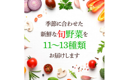 野菜セット（11‐13種類）《3カ月定期便》 