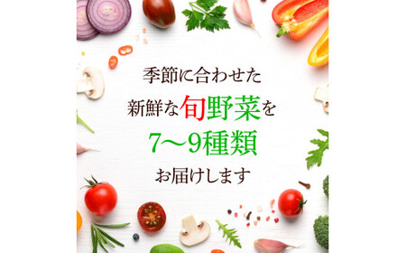 野菜セット（7‐9種類） 《3カ月定期便》 