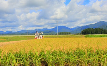 【定期発送】米食味鑑定士厳選 新庄産 ミルキークイーン（精米）5kg【全6回】 米 お米 おこめ 山形県 新庄市 F3S-2795