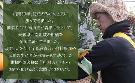 訳あり＜愛媛県西予市産 甘平 ご家庭用 約4kg＞ 果物 フルーツ 柑橘類 みかん 蜜柑 ミカン オレンジ かんぺい カンペイ 期間限定 季節限定 甘い 食べて応援 特産品 宇都宮物産 愛媛県 西予市【常温】『2026年2月上旬～3月下旬迄に順次出荷予定』UUB0016