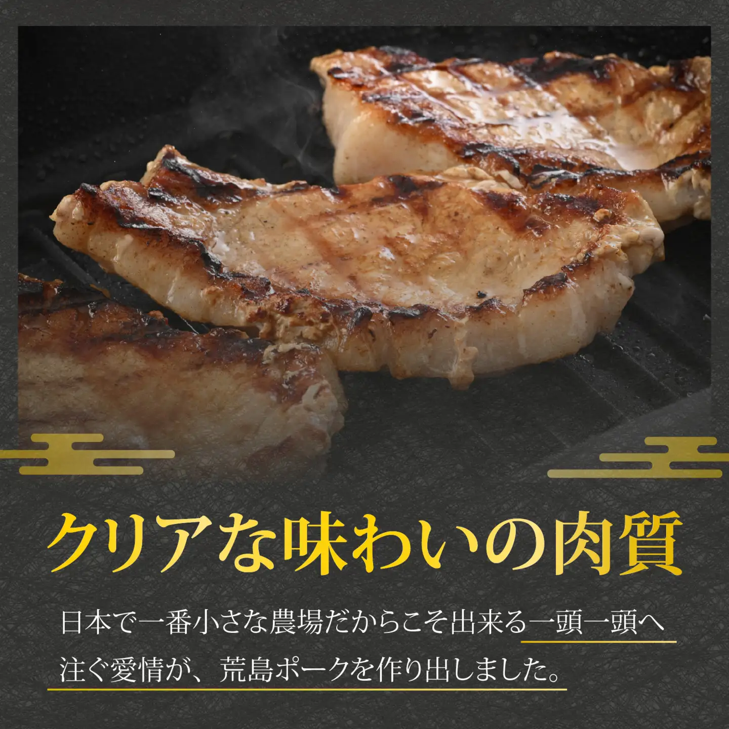 【福井のブランド豚肉】荒島ポーク ロース ステーキ・かつ用 770g[A-054003]
