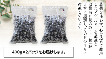 つくばみらい市 産 冷凍 ブルーベリー 800g ( 400g ×2パック )
