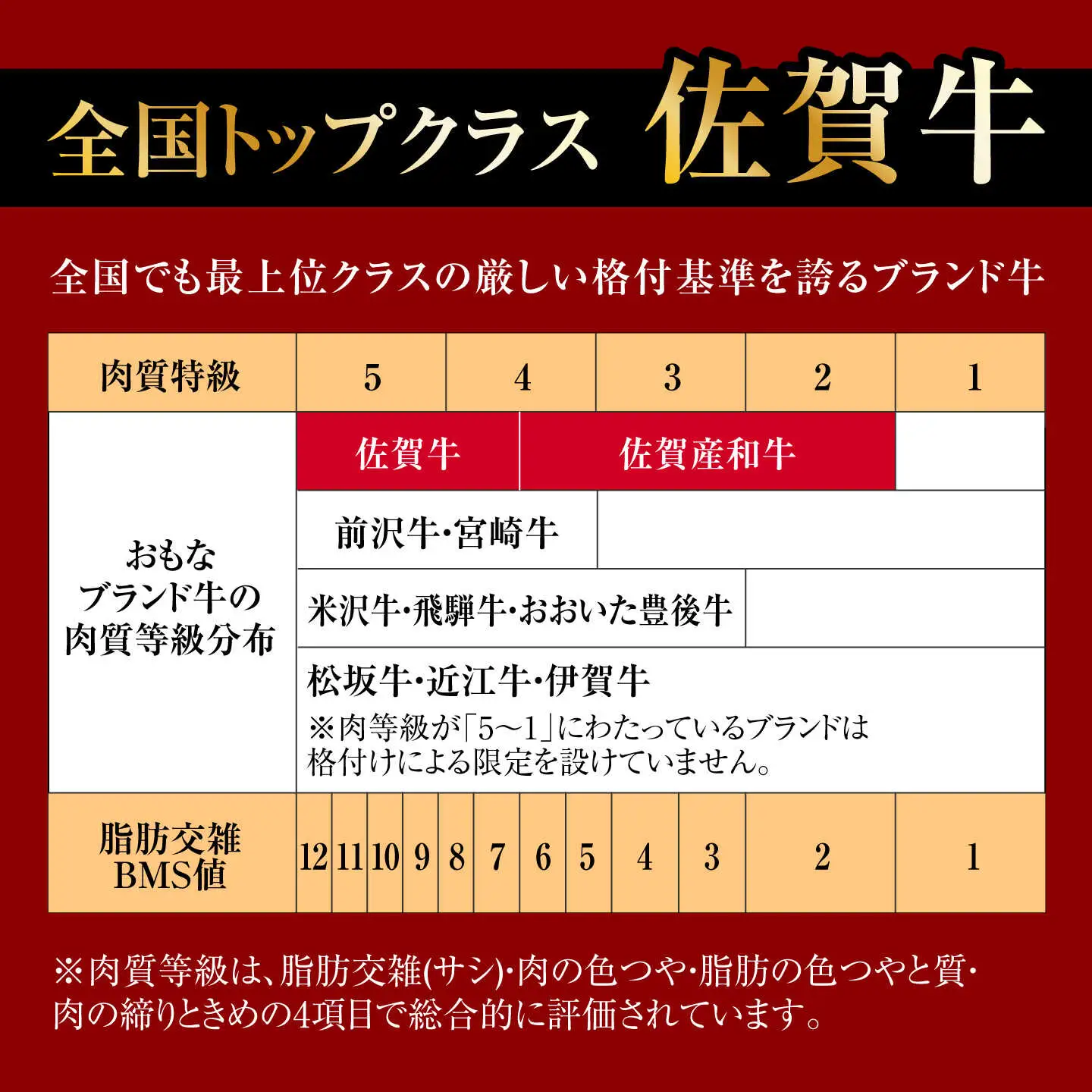 佐賀牛 A4 A5 すき焼き しゃぶしゃぶ 750g ウデ /焼肉どすこい[UCC013] 佐賀牛 スライス