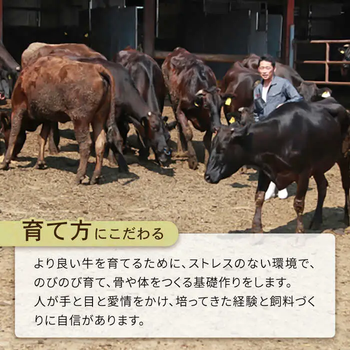 【6回定期便】長崎県産 和牛 切り落とし1kg / 南島原市 / 高田牧場 [SDB006]
