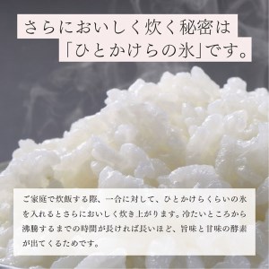 栃木県コシヒカリ 「桜花爛漫」 精米 5kg 【ご飯 お米 コメ コシヒカリ 白米 栃木県産 さくら市産】 ※北海道・沖縄・離島への配送不可 ※着日指定不可◇