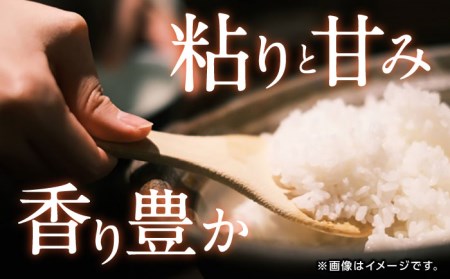 【もっちりとした粘りと甘さ】 さがびより 10kg /愛まんてん [UBD003] 米 こめ コメ お米