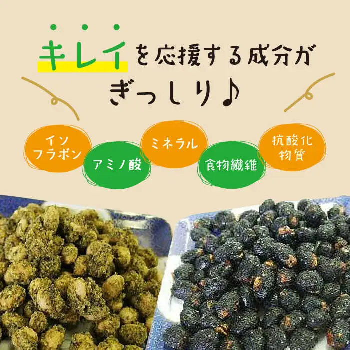 SOY美EAN 2袋 緑茶・海苔 /宮本邦製菓 [UBN003] お菓子 大豆 大豆菓子