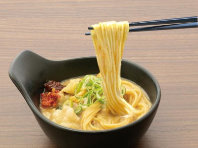 【天下一品】こってり鍋スープ＜麺・にんにく薬味・からし味噌付き＞(B-JB29)（家麺）