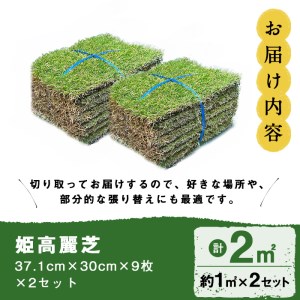 鹿児島県産＜天然芝＞姫高麗芝 2平米(約1平米×2セット) 芝 芝生 天然 天然芝 切り芝 DIY ガーデニング 高麗芝 姫高麗芝 高密度 鹿児島県 お庭 観賞用 a2-118