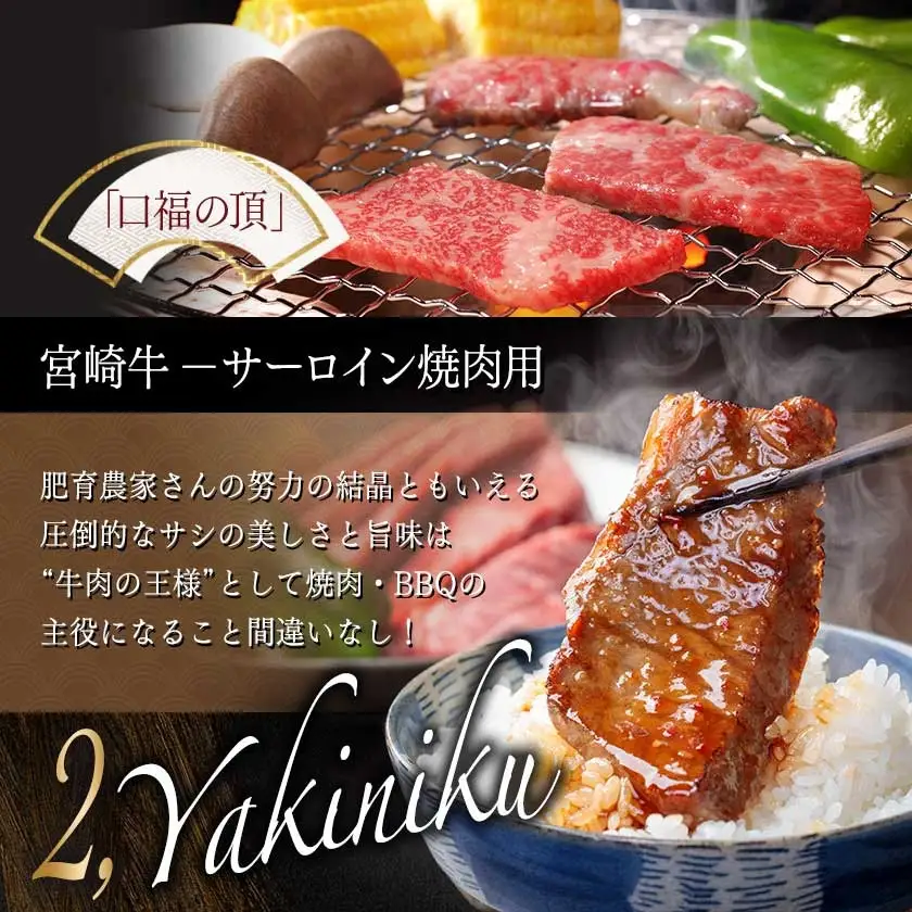 A5 宮崎牛 ヒレステーキ&サーロイン焼肉用〔AF-0109〕_(都城市) 都城産宮崎牛 A5ランク ヒレステーキ 100g×2枚 サーロイン焼肉用 400g ギフト 贈答用