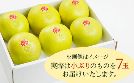 【先行予約】 厳選・水晶文旦 約3kg（小ぶりサイズ7玉入り）〈2026年10月初旬～2026年11月下旬頃発送〉 / 文旦 水晶文旦 3kg 小ぶり 7玉 柑橘 果物 フルーツ デザート 季節限定 期間限定 【L＋武田青果】 [ATIT004]