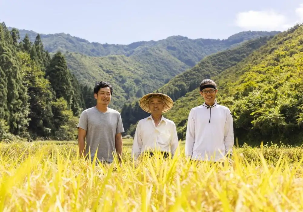 【定期便】【令和7年産】10kg×9ヶ月　最高金賞受賞  栽培期間中農薬5割減栽培　南魚沼産コシヒカリ「こまがた家のお米」【定期便 銘柄米 ブランド米 精米 こしひかり コシヒカリ 魚沼産 新潟米 産地直送 お米 米 こめ ごはん】