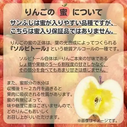 ◆2026年12月中発送◆りんご サンふじ家庭用 約10kg(24～42玉)【1494948】