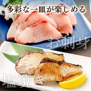 【先行受付】天然ブリ まるごと1本 5kg～8kg 土佐清水産 下処理【天然ブリ】【R00874】
